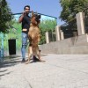 ژرمن شاپ 1 تنها فروشگاه تخصصی ژرمن در ایران