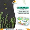 دمنوش آویشن 111