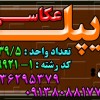 اخذ دیپلم رسمی  عکاسی