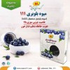 میوه خشک بلوبری