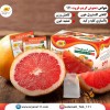 دمنوش گریپ فروت