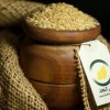 فروش انواع کنجد روغنگیری، کنجد ارده، بادام زمینی