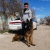 ژرمن شولاین بلک فیس