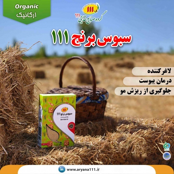 خرید سبوس برای لاغری
