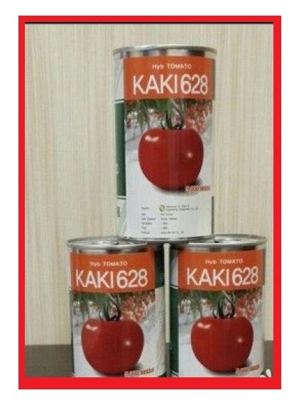 فروش بذر گوجه کاکی 628