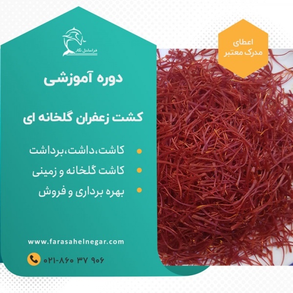 دوره آموزش پرورش زعفران گلخانه ای و خاکی