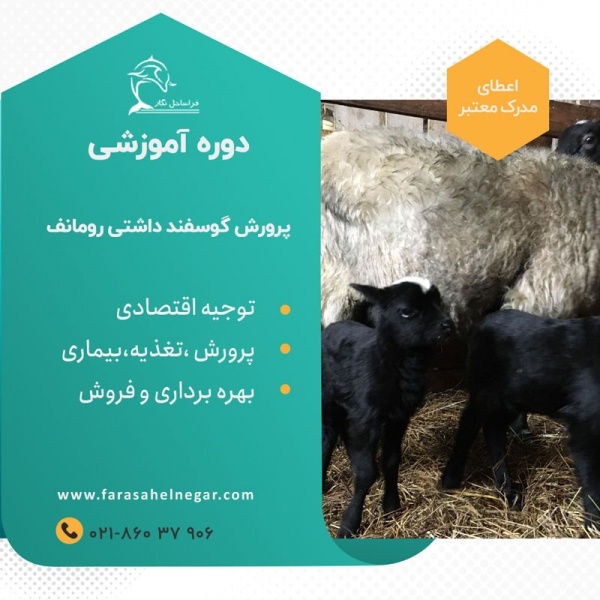 دوره آموزشی پرورش گوسفند دوقلوزا