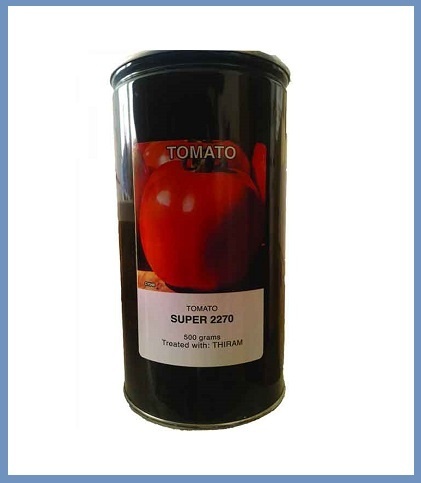 فروش بذر گوجه فرنگی سوپر 2270 کانیون ایتالیا