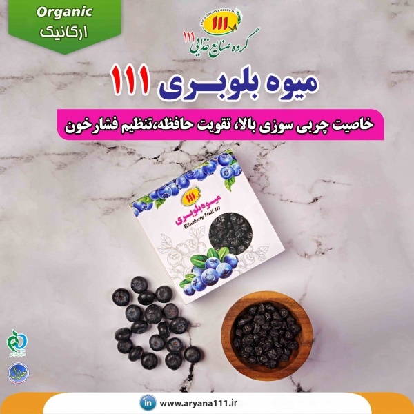 خرید میوه بلوبری