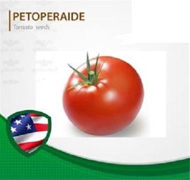 فروش بذر گوجه پتوپراید 6