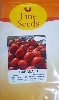 بذر گوجه بارانا { محصول زودرس }