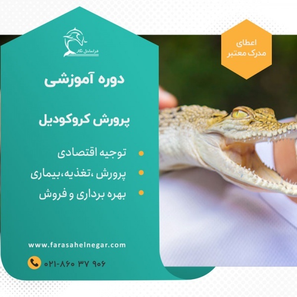 دوره آموزشی پرورش تمساح و کروکودیل