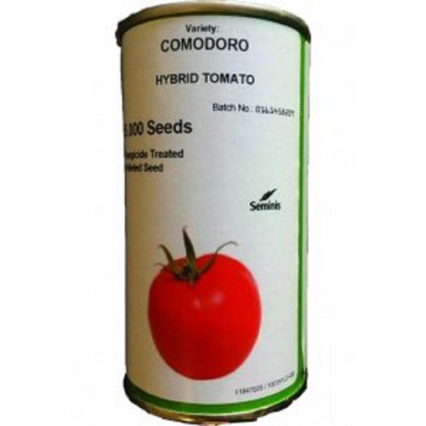 بذر گوجه بازار پسند کومودورو