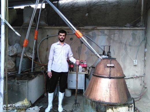 گلاب و عرقیات ویسپرد