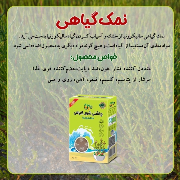 نمک سبز رژیمی