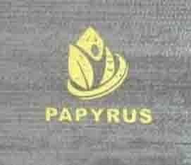 آلبوم کاغذ دیواری پاپیروس PAPYRUS