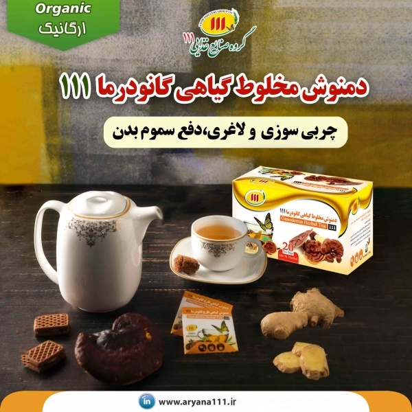 دمنوش قارچ گانودرما