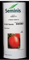 فروش بذر گوجه ایدن