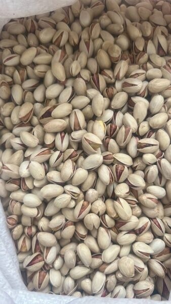 انواع پسته: اکبری، احمدآقایی، کله‌قوچی و فندقی