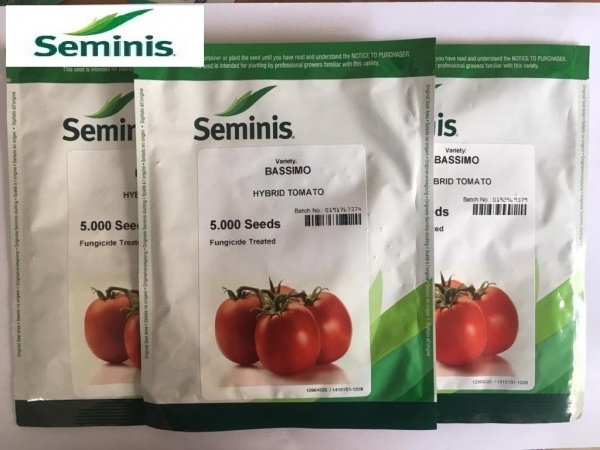 قیمت بذر گوجه باسیمو سیمینیس