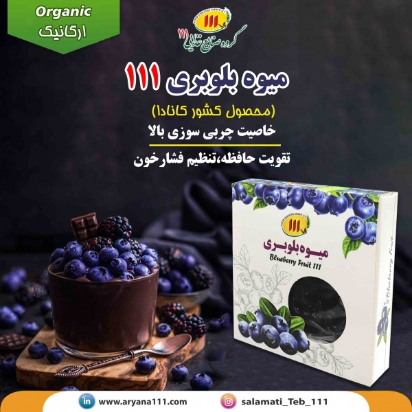 میوه بلوبری
