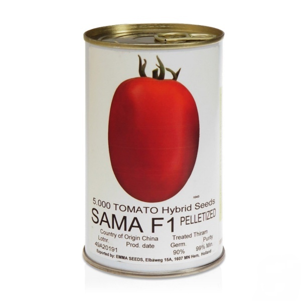 فروش بذر گوجه سما ، بذر گوجه SAMA اماسیدز