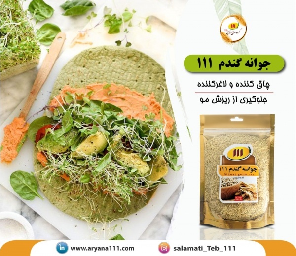 جوانه گندم