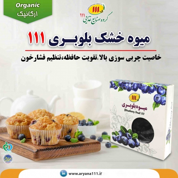 خرید میوه بلوبری