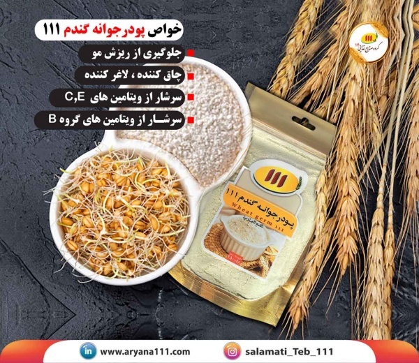 پودر جوانه گندم