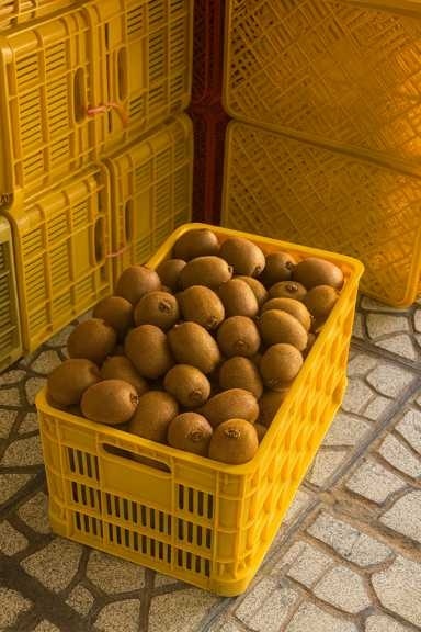 سبد کیوی 20 کیلویی کاملا نشکن مناسب سورتینگ میوه