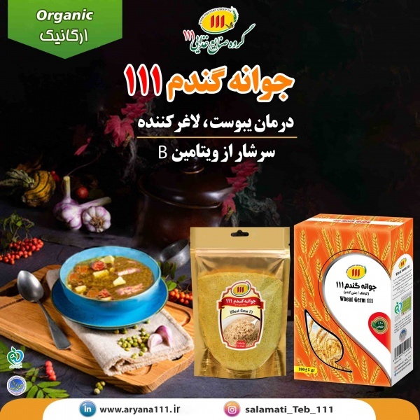 جوانه گندم