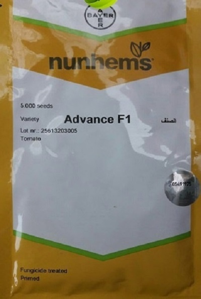 بذر گوجه ادونس