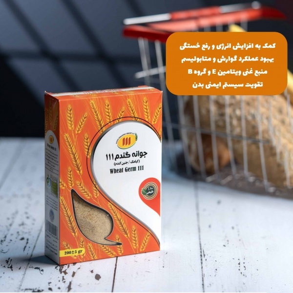 جوانه گندم