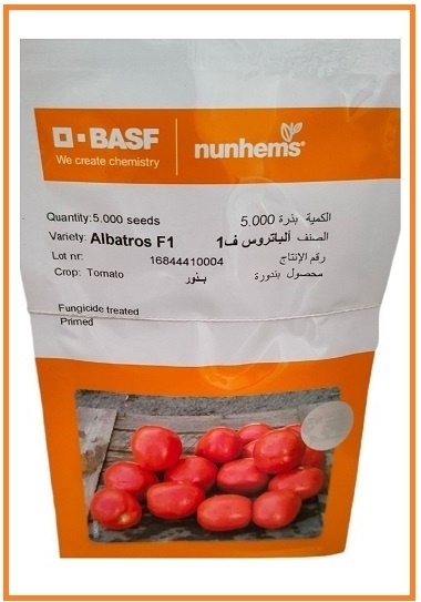 فروش بذر گوجه 6189