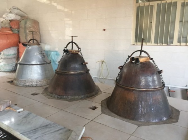 فروش انواع گلاب و عرقیات،گلاب کاشان،نعناع،بیدمشک