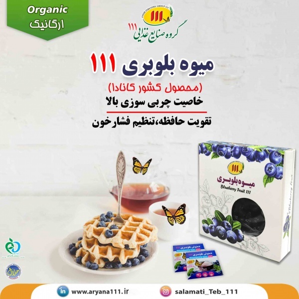 میوه خشک بلوبری
